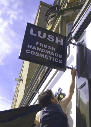 Citizen science on the High Street in Oxford, June 2013